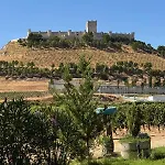 Entrevinedos De Bodegas Marcos *