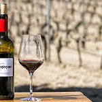 Entrevinedos De Bodegas Marcos *