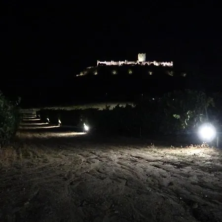 Entrevinedos De Bodegas Marcos Holiday home Penafiel