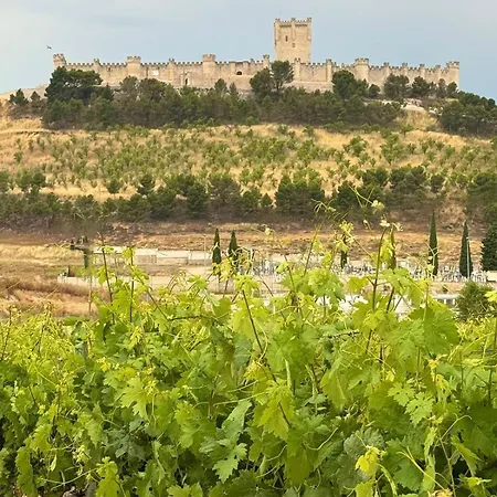 Entrevinedos De Bodegas Marcos