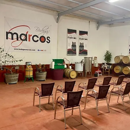 Entrevinedos De Bodegas Marcos Holiday home