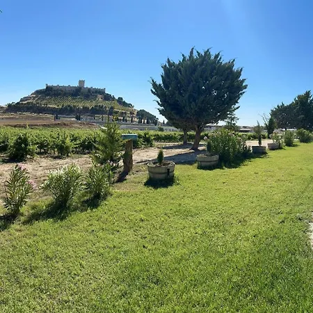Entrevinedos De Bodegas Marcos Ferienhaus *