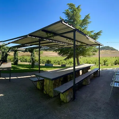 Holiday home Entrevinedos De Bodegas Marcos *
