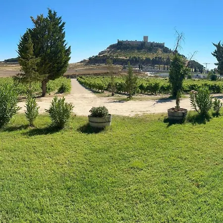 Entrevinedos De Bodegas Marcos *