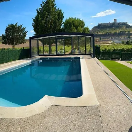 Entrevinedos De Bodegas Marcos Penafiel