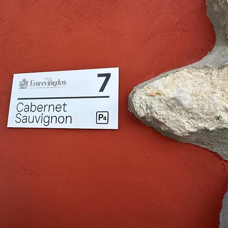 Semesterbostad Entrevinedos De Bodegas Marcos Peñafiel