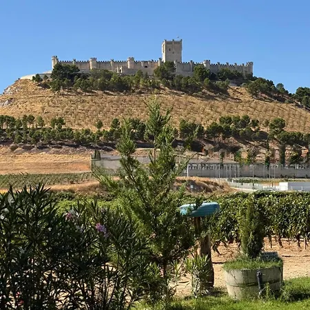 Entrevinedos De Bodegas Marcos *