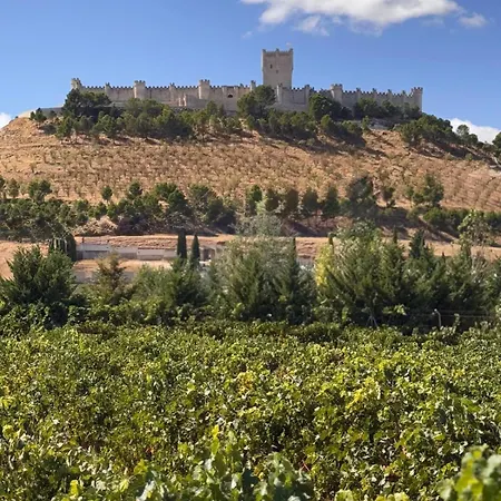 Entrevinedos De Bodegas Marcos * Peñafiel