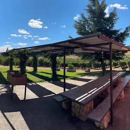 Entrevinedos De Bodegas Marcos