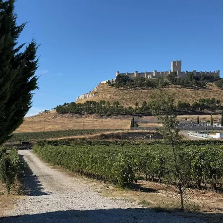 Ferienhaus Entrevinedos De Bodegas Marcos *