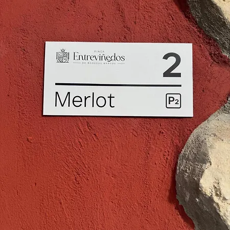 Entrevinedos De Bodegas Marcos Ferienhaus *