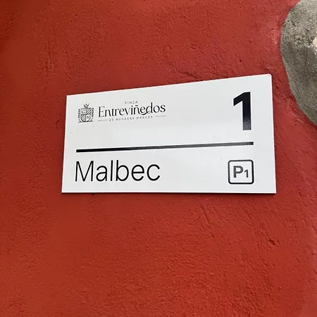 Entrevinedos De Bodegas Marcos * Peñafiel
