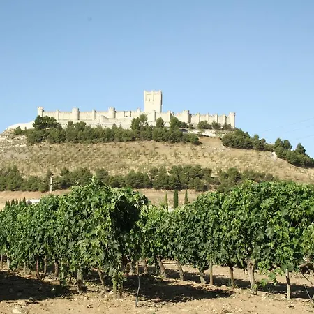 Ferienhaus Entrevinedos De Bodegas Marcos