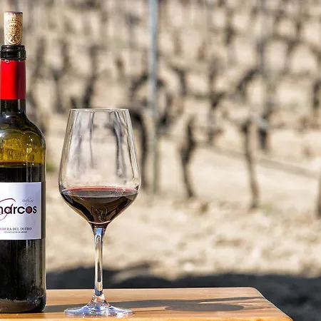 Entrevinedos De Bodegas Marcos *