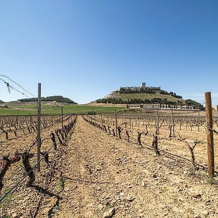 Entrevinedos De Bodegas Marcos * Peñafiel