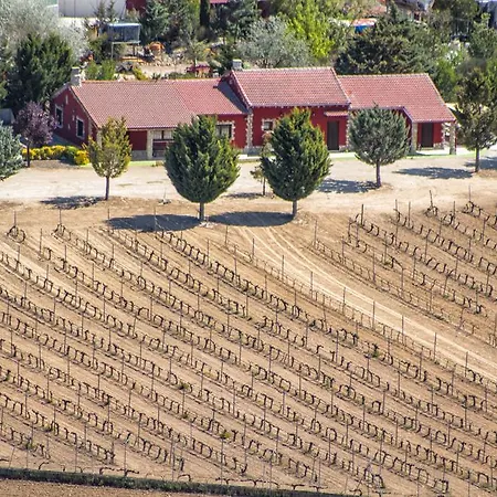 Entrevinedos De Bodegas Marcos Holiday home