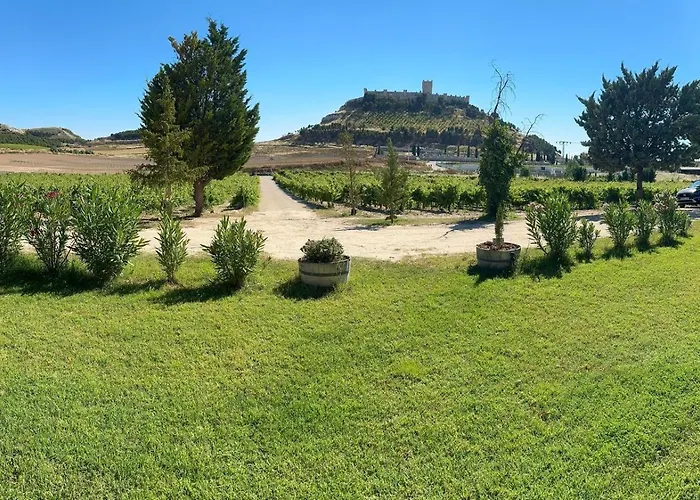 Casa Bodegas Marcos *