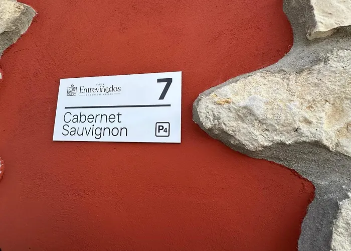 Сasa de vacaciones Casa Bodegas Marcos Peñafiel