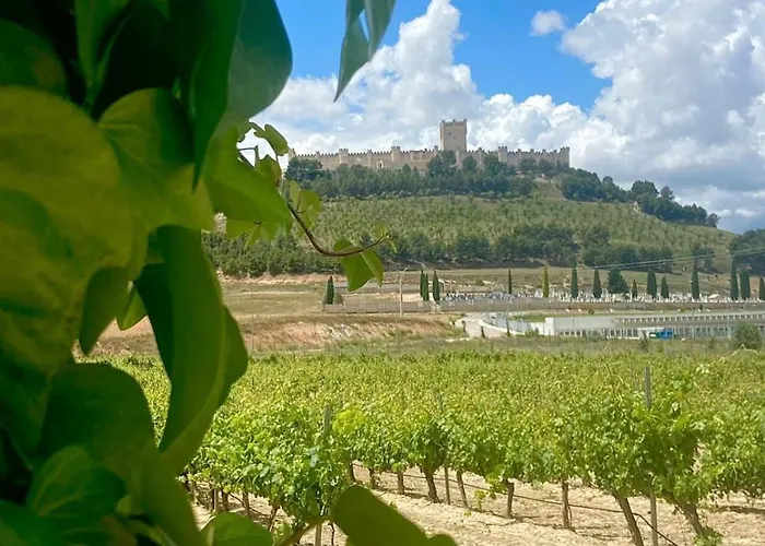 Vakantiehuis Entrevinedos De Bodegas Marcos *
