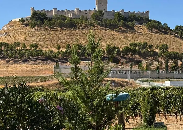 Casa Bodegas Marcos *