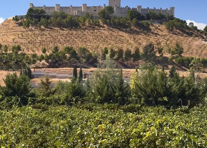 Entrevinedos De Bodegas Marcos * Peñafiel