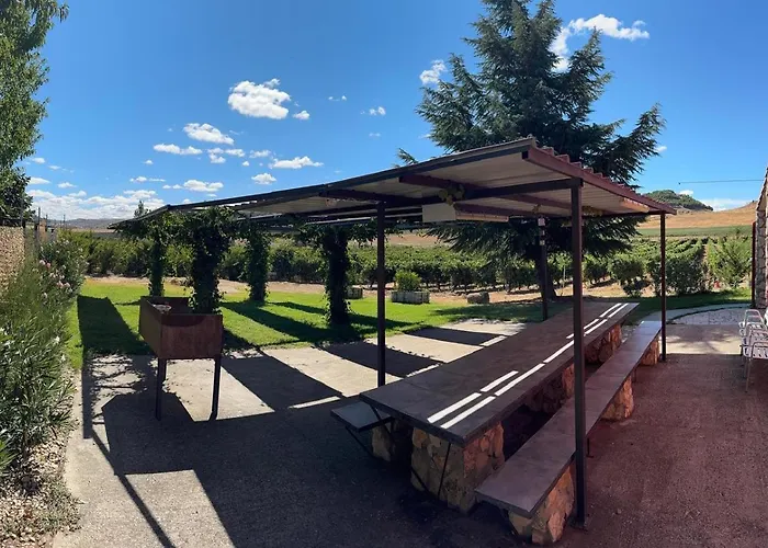 Entrevinedos De Bodegas Marcos