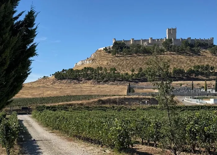 Vakantiehuis Entrevinedos De Bodegas Marcos *