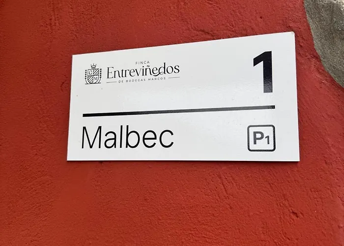 Entrevinedos De Bodegas Marcos * Peñafiel