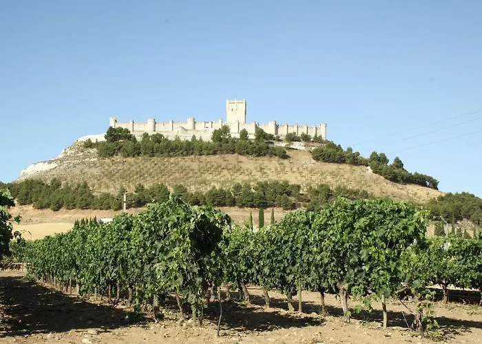 Vakantiehuis Entrevinedos De Bodegas Marcos