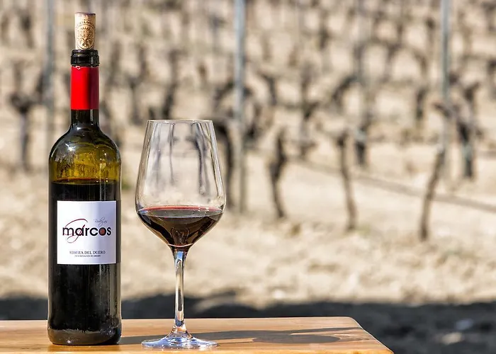 Casa Bodegas Marcos *