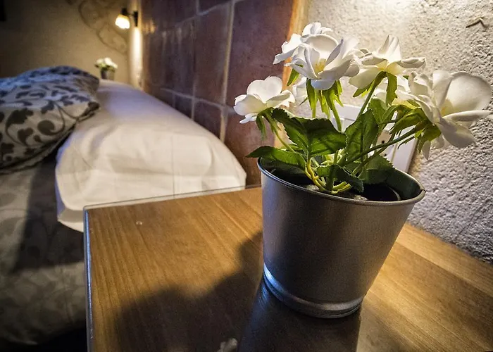 Сasa de vacaciones Casa Bodegas Marcos Peñafiel